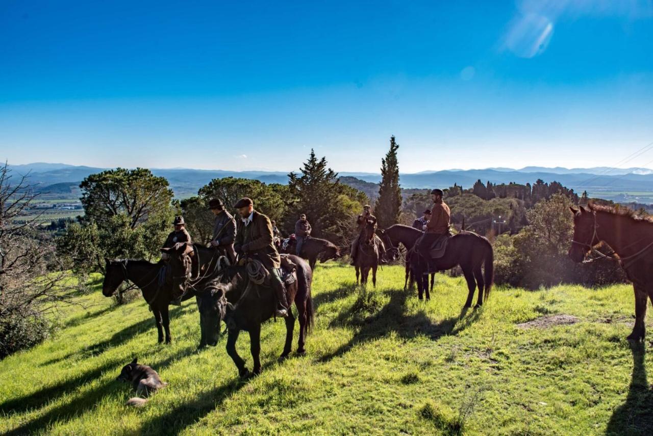 Essenziale Bed & Breakfast Castell'Anselmo Dış mekan fotoğraf